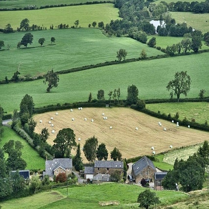 wave city agriculture land